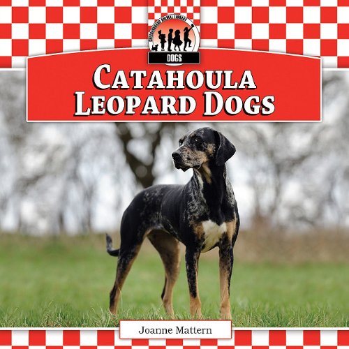 Catahoula Leopard Dogs by Joanne Mattern