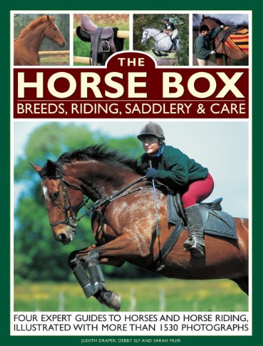 The Horse Box: Breeds, Riding, Saddlery &amp; Care: Four Expert Guides To Horses And Horse Riding, Illustrated With More Than 1530 Photographs by Judith Draper