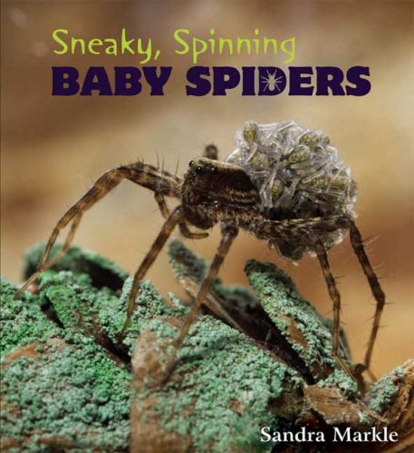 Sneaky, Spinning Baby Spiders by Sandra Markle