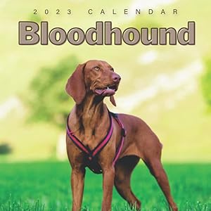 Bloodhound Calendar: Beautiful 18-month 2023 Calendar - Gift for Family, Friends and Yourself - Thick Paper - Home & Office Organizer - Large Monthly Grid for Note and Planning by Lisa Calendar