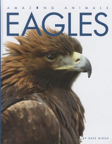 Eagles by Kate Riggs