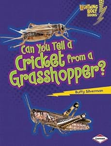Can You Tell a Cricket from a Grasshopper?