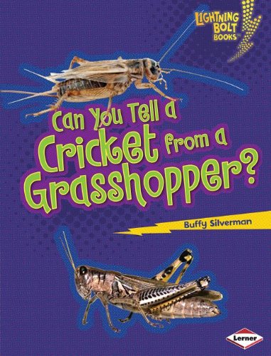 Can You Tell a Cricket from a Grasshopper? by Buffy Silverman