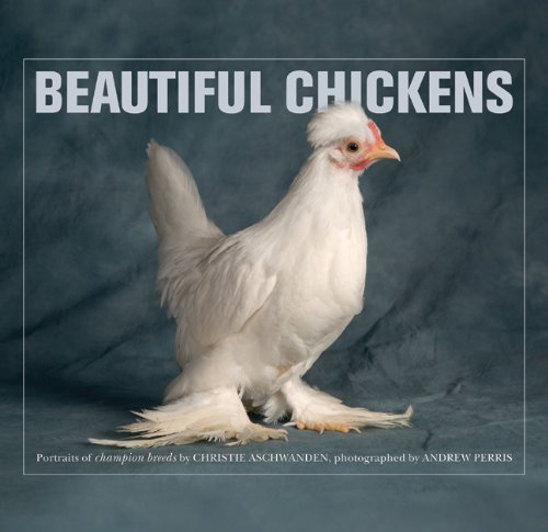Beautiful Chickens by Christie Aschwanden