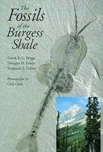 The Fossils of the Burgess Shale by Derek E. G. Briggs