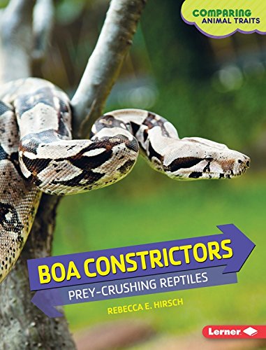 Boa Constrictors: Prey-Crushing Reptiles by Rebecca Hirsch
