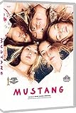 mustang DVD Italian Import by gunes sensoy