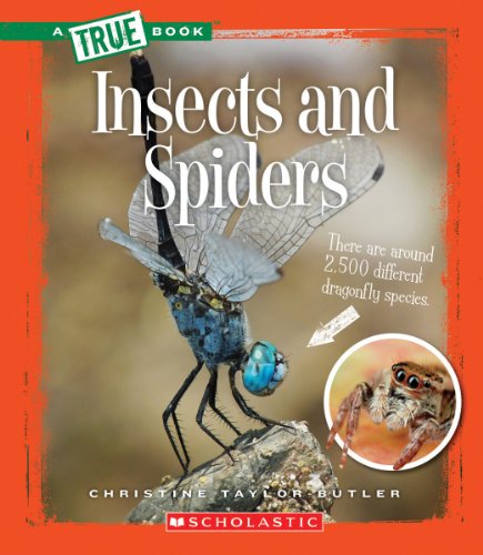 Insects and Spiders by Christine Taylor-Butler