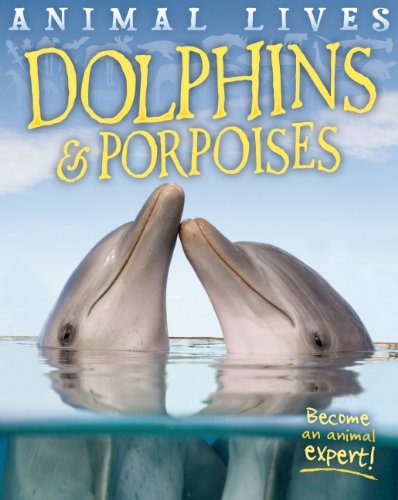 Dolphins and Porpoises by Sally Morgan