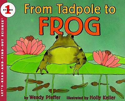 From Tadpole To Frog (Turtleback School & Library Binding Edition) (Let's-Read-And-Find-Out Science: Stage 1 (Pb))