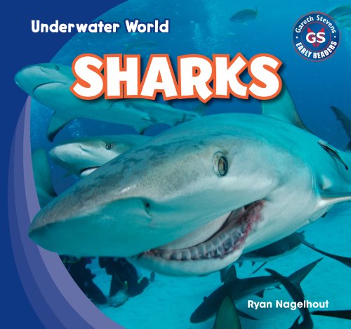 Sharks by Ryan Nagelhout