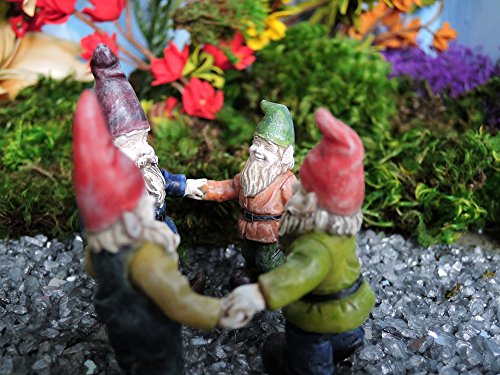 Algopix Similar Product 16 - Miniature Fairy Garden Gnome Friends