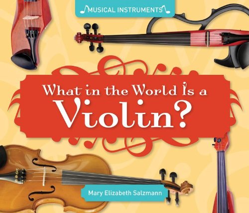 What in the World Is a Violin? by Mary Elizabeth Salzmann