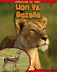 Lion vs. gazelle