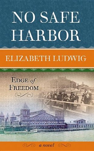 No Safe Harbor (Edge of Freedom) by Elizabeth Ludwig