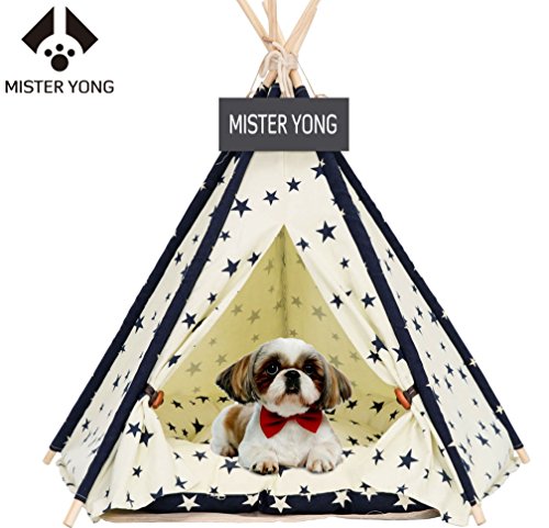 Algopix Similar Product 5 - 