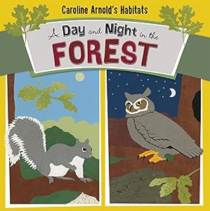 A Day and Night in the Forest