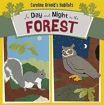 A Day and Night in the Forest