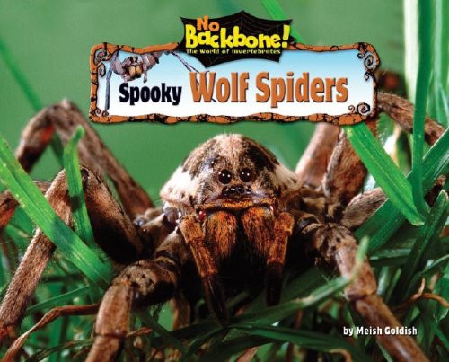 Spooky Wolf Spiders by Meish Goldish