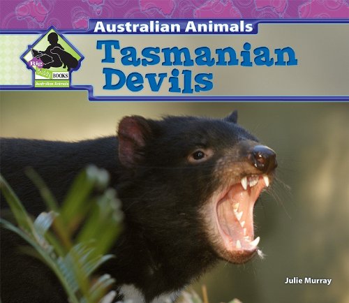 Tasmanian Devils by Julie Murray