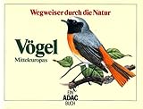 ADAC Wegweiser durch die Natur. Vögel Mitteleuropas - Claus König