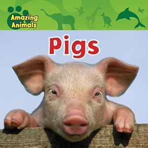 Pigs