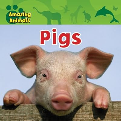 Pigs