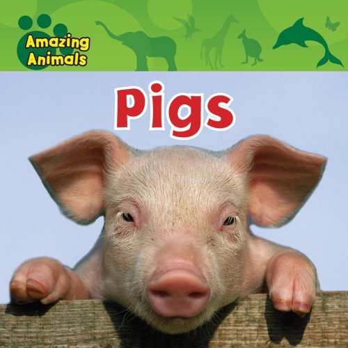 Pigs by Christina Wilsdon