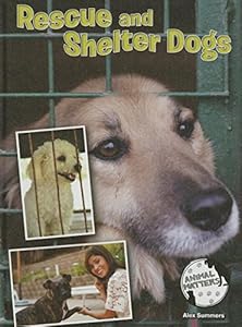 Rescue and Shelter Dogs