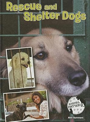 Rescue and Shelter Dogs