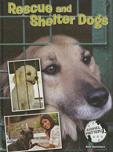 Rescue and Shelter Dogs by Alex Summers