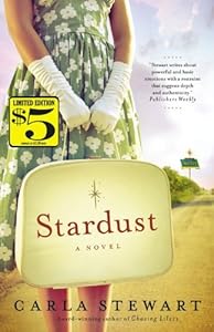 Stardust: A Novel
