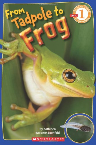 Scholastic Reader Level 1: From Tadpole to Frog by Kathleen Weidner Zoehfeld