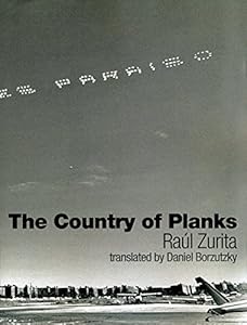 The Country of Planks by Raul Zurita