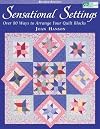 Sensational Settings "Print on Demand Edition": Written by Joan Hanson, 2011 Edition, (Rev. Ed) Publisher: Martingale & Company [Paperback]