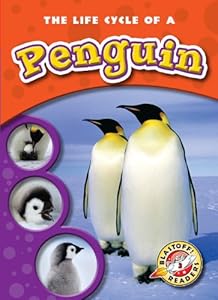 The Life Cycle of a Penguin