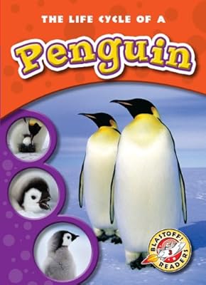 The Life Cycle of a Penguin