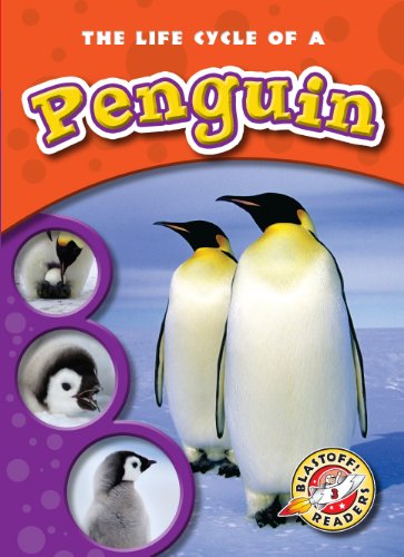 The Life Cycle of a Penguin by Colleen Sexton