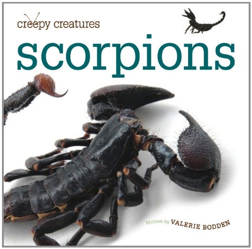 Scorpions by Valerie Bodden