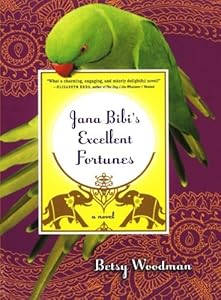 Jana Bibi's Excellent Fortunes: A Novel