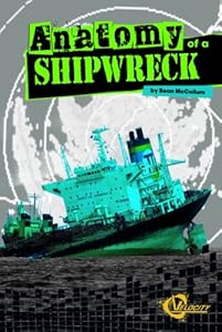 Anatomy of a Shipwreck