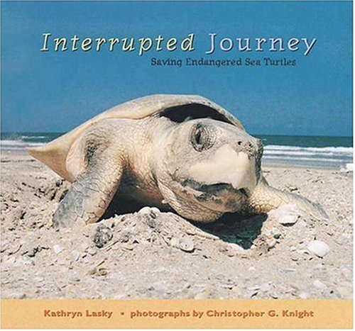 Interrupted Journey: Saving Endangered Sea Turtles by Kathryn Lasky
