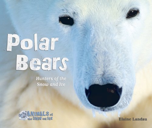 Polar Bears: Hunters of the Snow and Ice by Elaine Landau