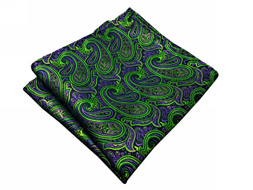 Shlax&Wing Paisley Green Purple Black Pocket Square Mens Hankies Hanky