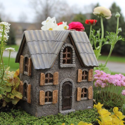 Algopix Similar Product 12 - WFG Miniature Fairy Garden Cottonwood