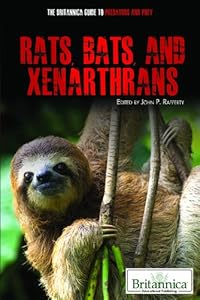 Rats, Bats, and Xenarthrans