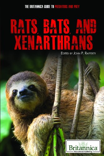 Rats, Bats, and Xenarthrans by John P. Rafferty  (Editor)