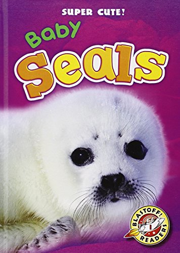 Baby Seals by Christina Leaf