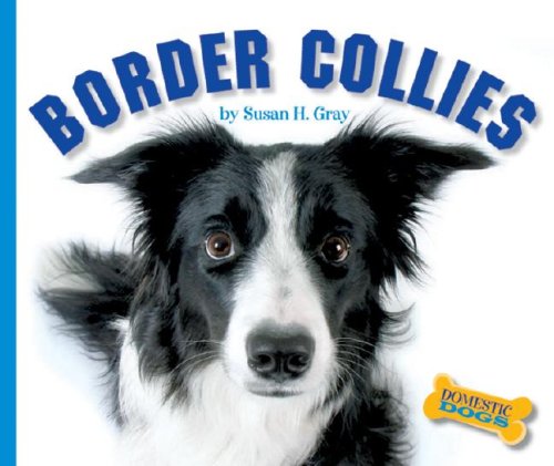 Border Collies (Domestic Dogs) by Susan Heinrichs Gray