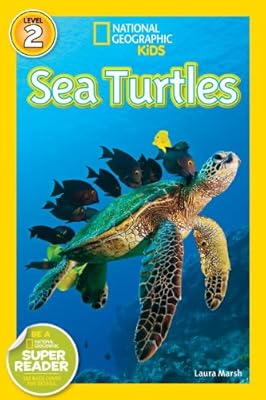 Sea turtles